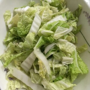 白菜のあっさり塩揉みサラダ